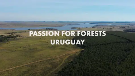 Passion for forests: maaseutu&amp;shy;yhteis&#xF6;jen tukena Uruguayssa