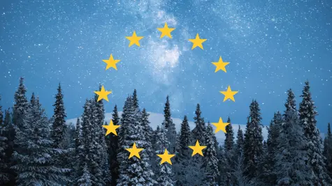 9 kysymyst&#xE4; EU:n mets&#xE4;strategiasta ja sen vaikutuksesta Suomeen