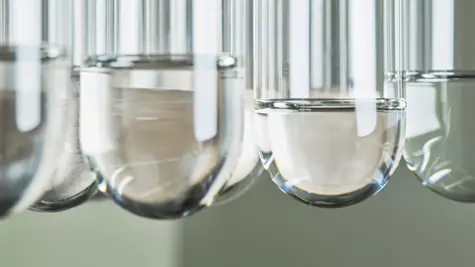 Ilmastotoimet metsiss&#xE4; ja puuviljelmill&#xE4; 